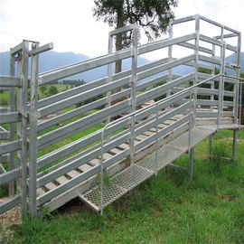 La rampe de chargement galvanisée plongée chaude de moutons prévoit les appareils de manutention de bétail