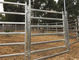Metal les bétail/les panneaux barrière de cheval/panneaux portatifs de corral anticorrosion