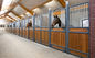 La stalle mobile de cheval d'équitation lambrisse la coutume disponible de sections de gril de séparations