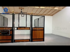 Protection ultime pour les environnements équestres