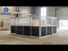 10 pieds 12 pieds Portables Panneaux de chevaux d'acier Temporaire personnalisé Alumine économique