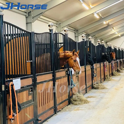 La stalle stable de boîte de cheval européen résistant de style affronte la longue durée de 3.6m