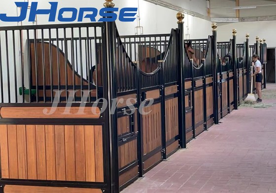 La stalle de cheval de 14 pieds affronte le cadre en bambou galvanisé plongé chaud durable