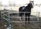 Panneaux miniatures de barrière de ferme, panneaux galvanisés de faible puissance de barrière de cheval