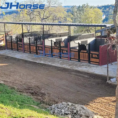 La diverse stalle résistante de cheval affronte la poudre noire enduite
