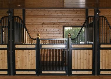 Le cheval européen enduit par poudre cale le bord en acier doux de basse version de hausse