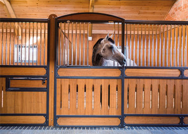 La boîte stable de cheval du message publicitaire 10ft 12ft/a galvanisé la barrière de cheval